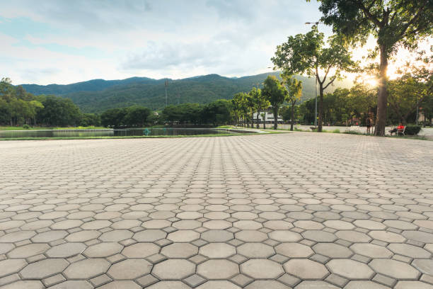 Best Permeable Paver Driveway  in Mantua, VA
